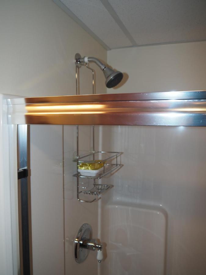 Benzonia New! The Blessing - A Cute And Cozy Apartment! מראה חיצוני תמונה